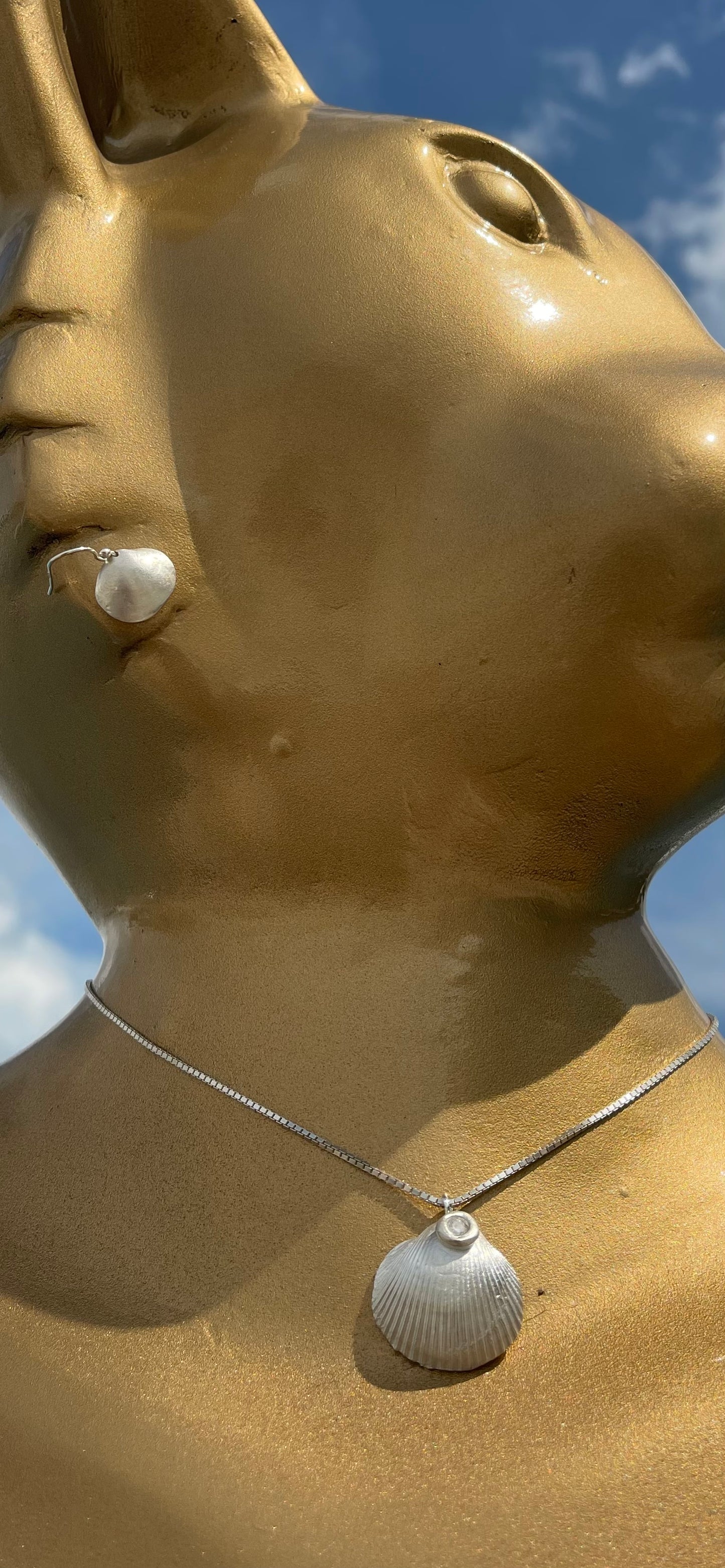 Dosh Silver shell set