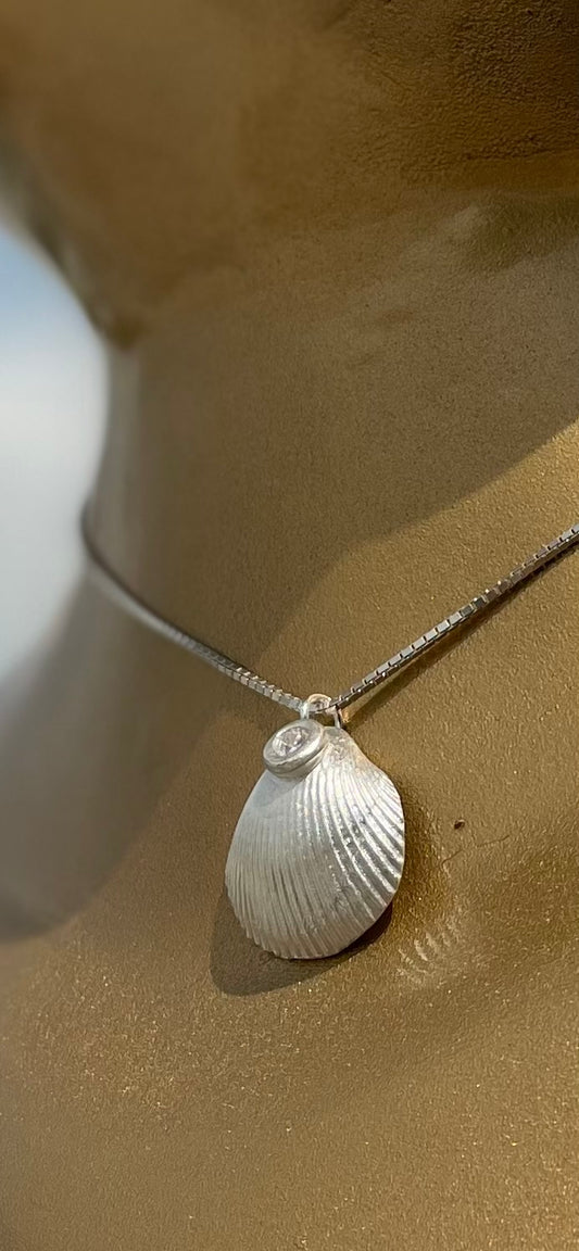 Dosh Silver shell set