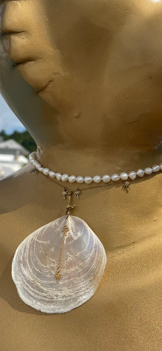 White Pearl seashell