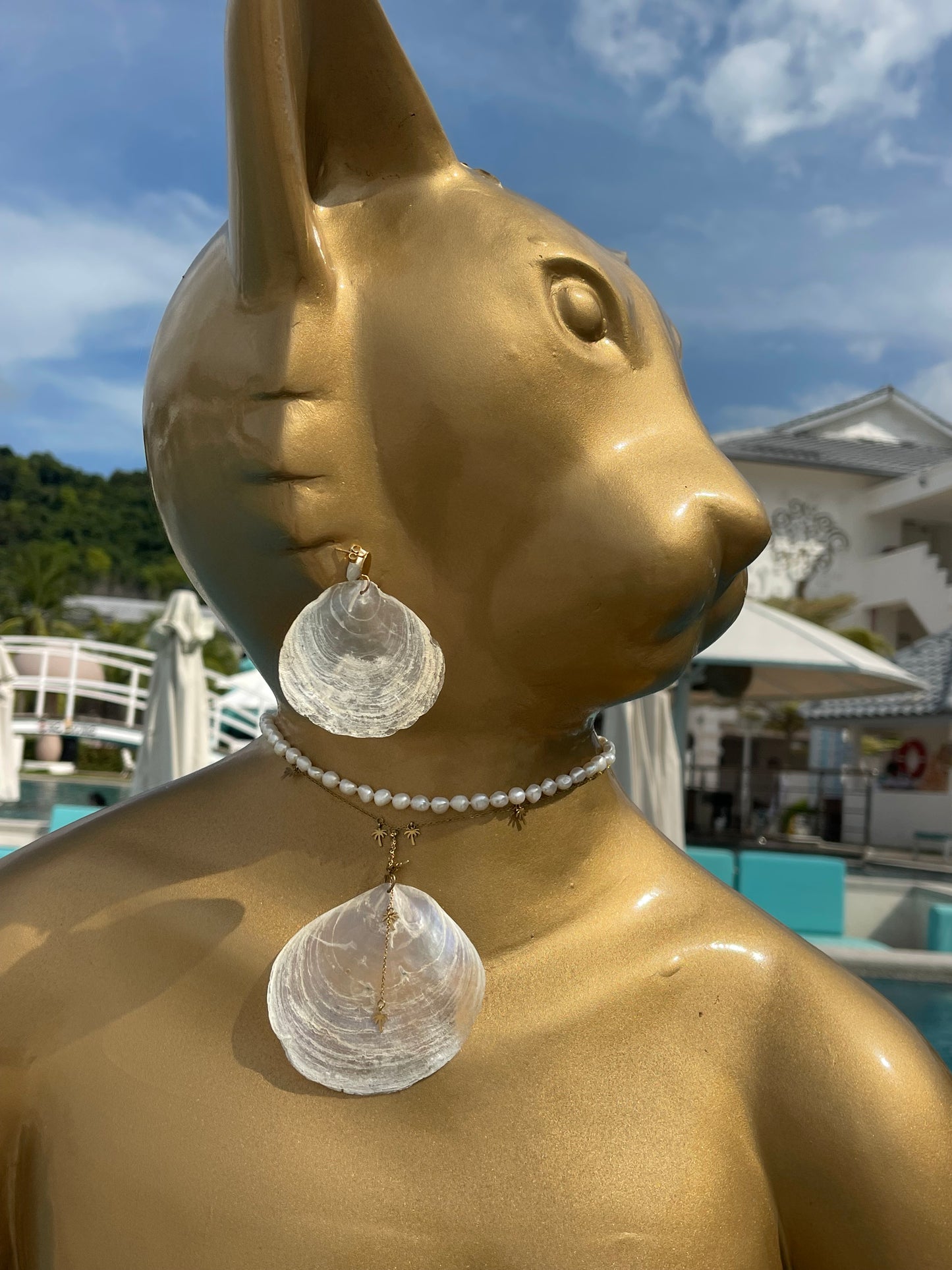 White Pearl seashell