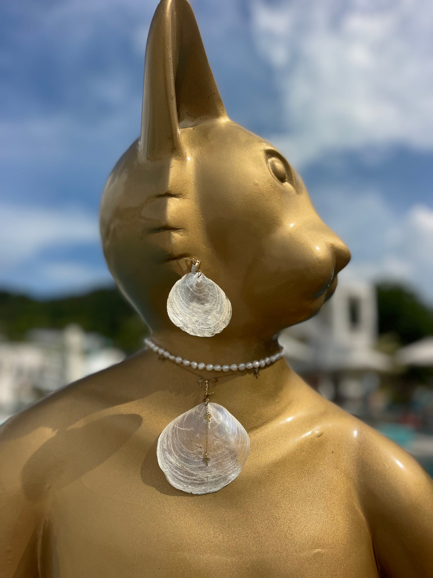 White Pearl seashell